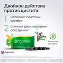 Фитолизин капсулы 40 шт