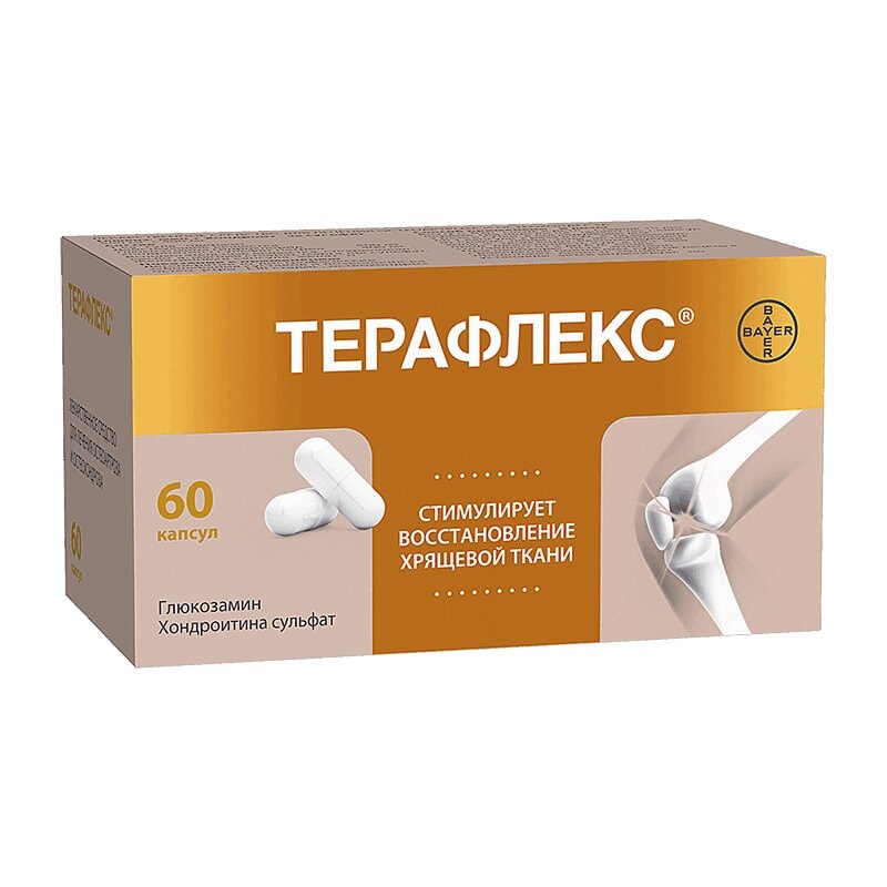 Терафлекс капсулы 60 шт