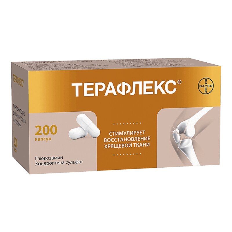 Терафлекс капсулы 200 шт