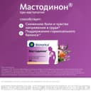 Мастодинон таблетки гомеопатические 60 шт
