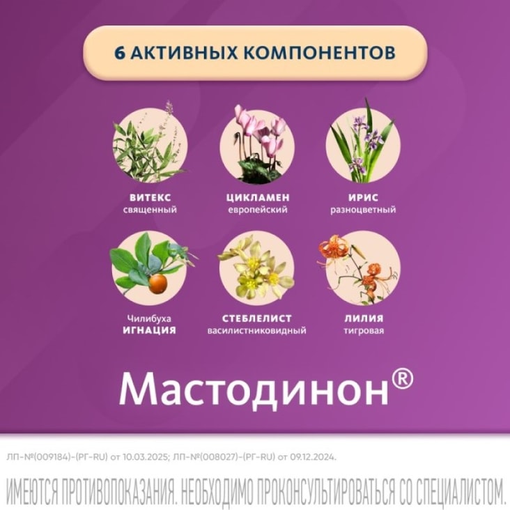 Мастодинон таблетки гомеопатические 60 шт