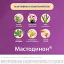 Мастодинон капли гомеопатические для приема внутрь 100 мл