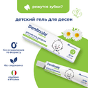 Dentinale natura (Дентинале натура) детский гель для десен при прорезывании зубов 20 мл