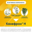 Канефрон Н капли для приема внутрь 100 мл
