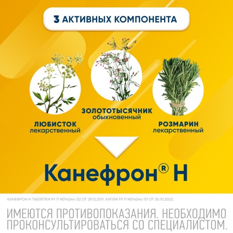 Канефрон Н таблетки 60 шт