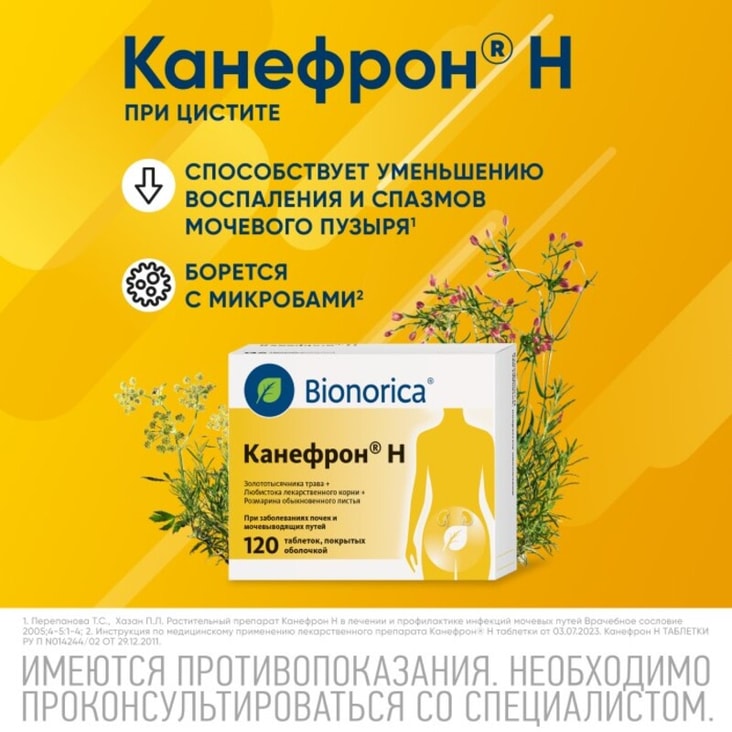 Канефрон Н таблетки 120 шт