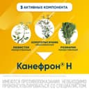 Канефрон Н таблетки 120 шт