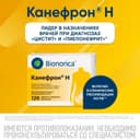 Канефрон Н таблетки 120 шт