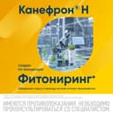 Канефрон Н таблетки 120 шт