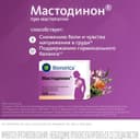 Мастодинон таблетки гомеопатические 120 шт