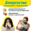 Аллергостин 20 мг таблетки 10 шт