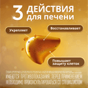 Эссенциале форте Н 300 мг капсулы 30 шт