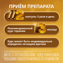 Эссенциале форте Н 300 мг капсулы 30 шт