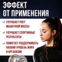 Галванайз 100 Изолят порошок 700 г Ваниль