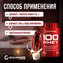 Галванайз 100 Вей порошок 900 г Шоколад-Орех