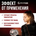 Галванайз 100 Вей порошок 900 г Ваниль