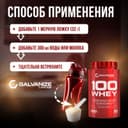 Галванайз 100 Вей порошок 900 г Ваниль