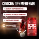 Галванайз 100 Вей порошок 900 г Печенье-Крем