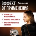 Галванайз Макс Вей порошок 900 г Печенье-Крем