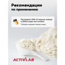 ActivLab Mass Up Протеин порошок Ваниль 1200 г