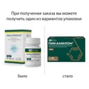 Пикамилон 50 мг таблетки 60 шт