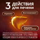 Эссенциале форте Н 600 мг капсулы 90 шт