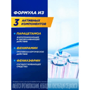ТераФлю порошок для приготовления раствора Лесные ягоды 10 шт