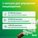 Креон 25000 капсулы 50 шт