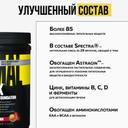 Animal Пак Витаминно-минеральный комплекс порошок Фруктовый пунш 417 г