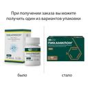 Пикамилон 50 мг таблетки 60 шт