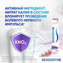 Sensodyne Зубная паста Здоровые десны 75 мл