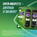 Никоретте 1 мг/доза спрей Мята 150 доз 13,2 мл 2 шт