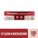 Терафлекс Хондрокрем Форте крем для наружного применения 100 г