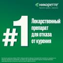 Никоретте 1 мг/доза спрей Фрукты-Мята 150 доз 13,2 мл