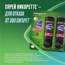 Никоретте 1 мг/доза спрей Фрукты-Мята 150 доз 13,2 мл 2 шт