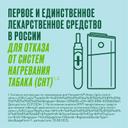 Никоретте 1 мг/доза спрей Фрукты-Мята 150 доз 13,2 мл 2 шт