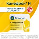 Канефрон Н таблетки 60 шт