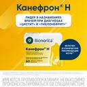 Канефрон Н таблетки 60 шт