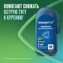 Никоретте 4 мг таблетки для рассасывания Мята 20 шт