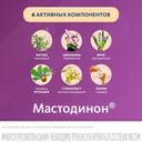 Мастодинон таблетки гомеопатические 120 шт