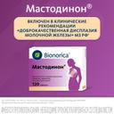 Мастодинон таблетки гомеопатические 120 шт