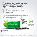 Фитолизин капсулы 40 шт
