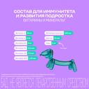 Витрум Юниор мармелад жевательный Черная смородина 60 шт