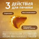Эссенциале форте Н 300 мг капсулы 90 шт