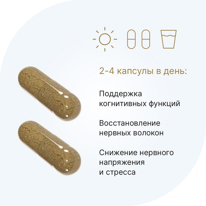 Evalar Laboratory Ежовик гребенчатый 300 мг капсулы 60 шт