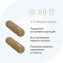 Evalar Laboratory Ежовик гребенчатый 300 мг капсулы 60 шт