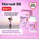 Gross Health Магний В6 Форте Макс 100 мг таблетки 90 шт
