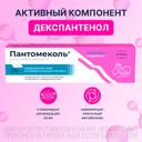 Пантомеколь 5% мазь для наружного применения 30 г