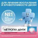 Метрогил Дента 10 мг/г+0,5 мг/г гель стоматологический 20 г