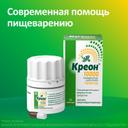 Креон 10000 капсулы 20 шт